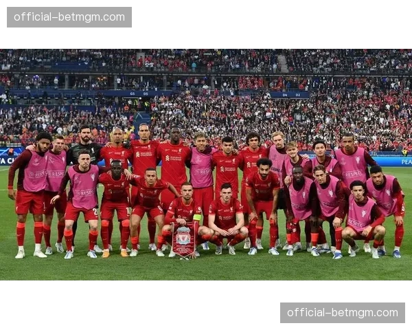 财务观察:欧冠奖金如何影响中小联赛冠军的赛季转会预算? 财务观察:欧冠奖金如何影响中小联赛冠军的赛季转会预算?