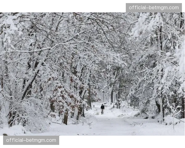 气象部门预警,暴风雪可能影响布法罗军刀队季后赛首战行程
