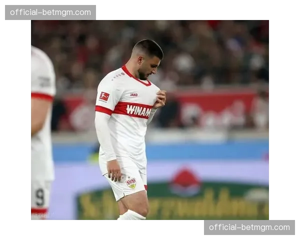 霍芬海姆客场2-2绝平奥格斯堡，欧战资格争夺悬念延续